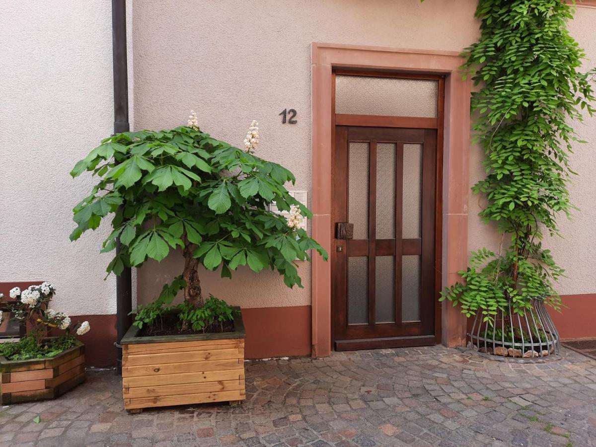 Appartement Alte Bahnhofstrasse 12 à Karlstadt Extérieur photo